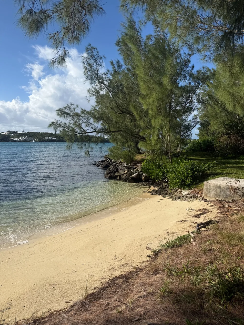 A sheltered beach with clear water and trees along the shoreline
